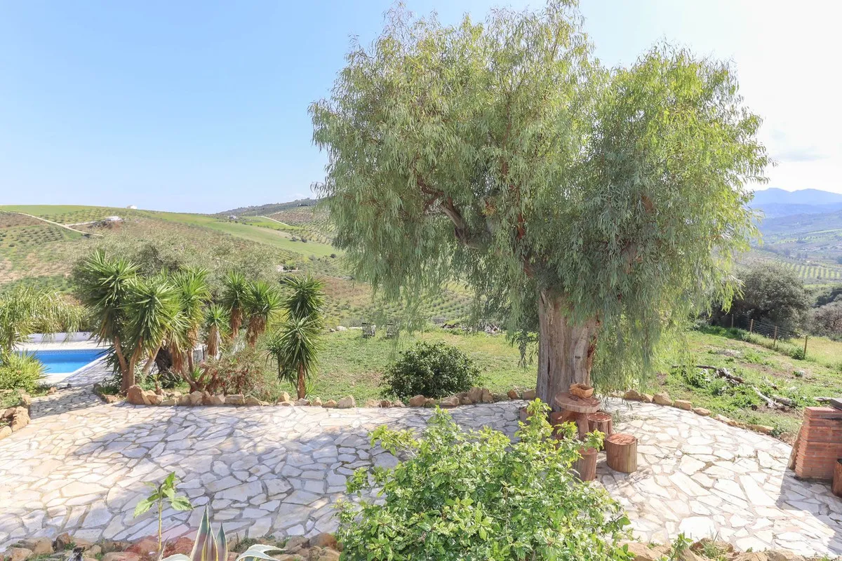 e5a1efc0-2d39-46ba-8edd-b519b4cedd8a