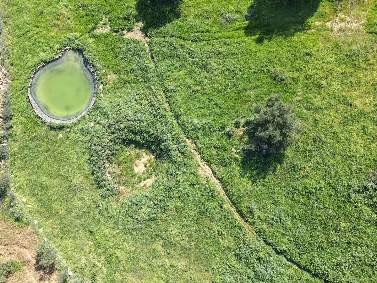 e9032d3d-0aa5-41d4-81b1-6c217fa779fb