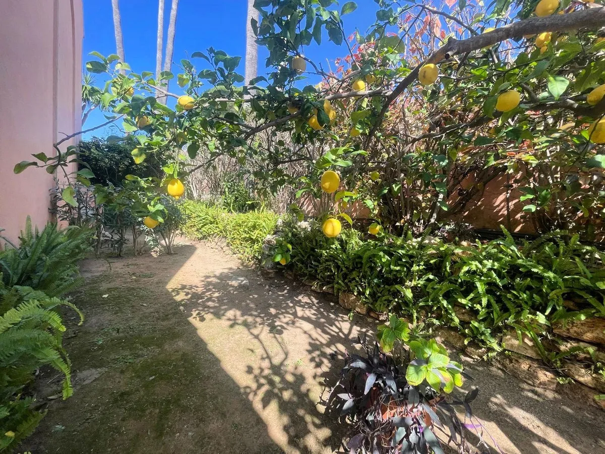 b9ff5607-a39e-4286-8adc-c03de2fbd00a