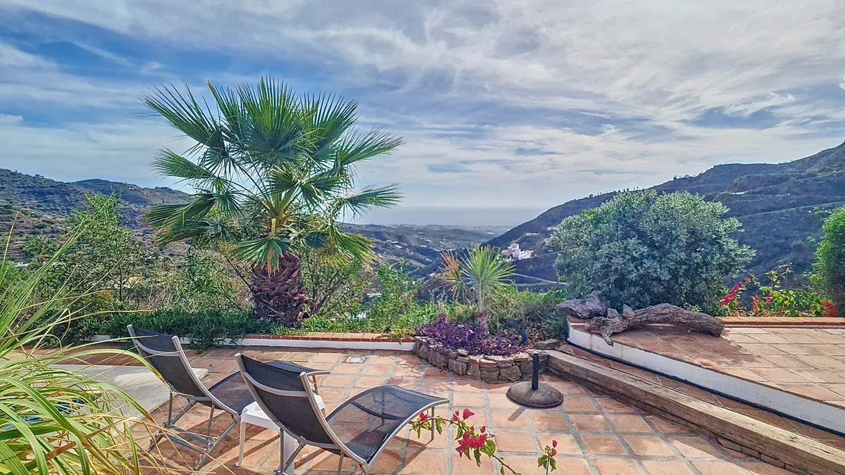 31c84162-63bf-43c1-aac1-e42326ede355