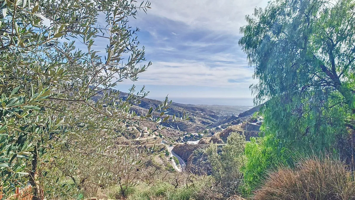 c7b4d7d6-1348-46f2-bafb-88bf1231bdff