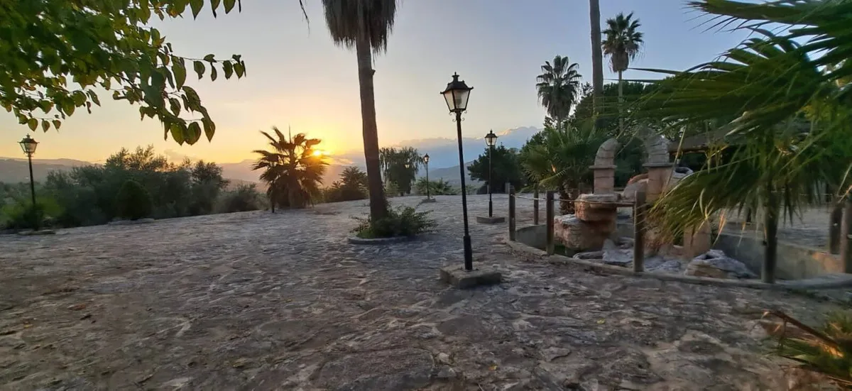 205594f8-3831-4a1e-a8c4-fdb8a025f013