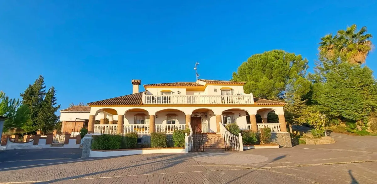 c2b603fb-2d42-4501-8c04-d1239ad0af8d