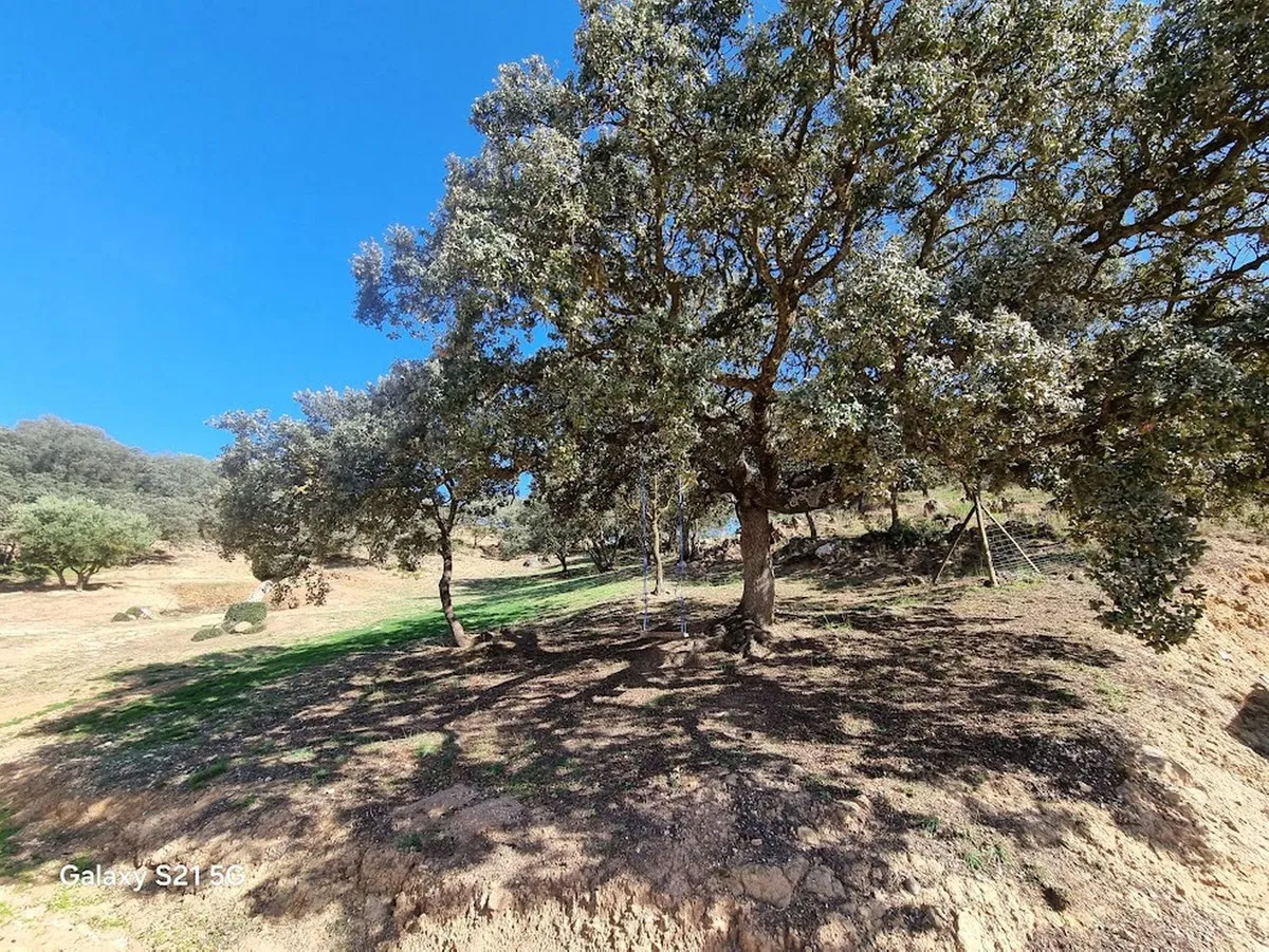 005e558f-41f1-4f4c-9be4-ea609054436b