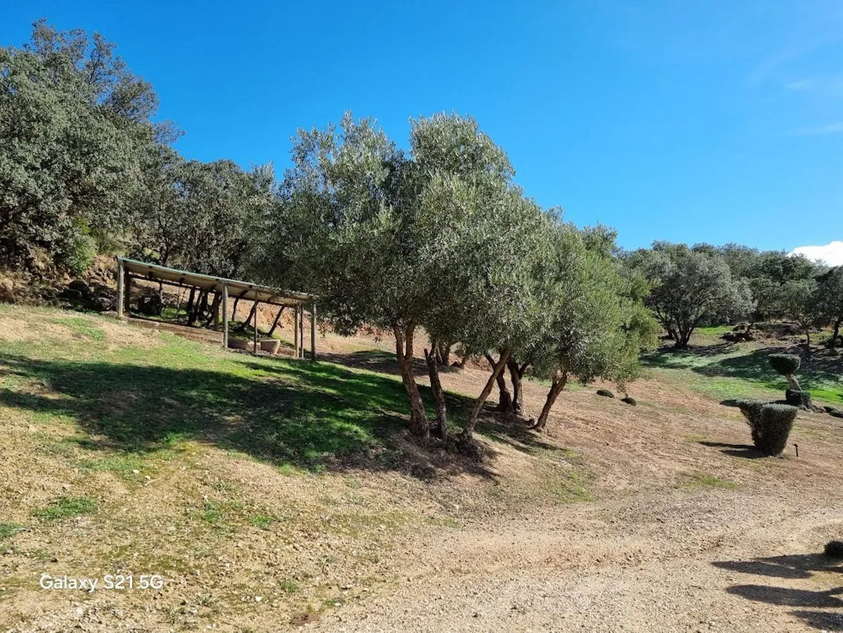 09f92e24-c5c4-43a8-9f63-d540fa85c3c4