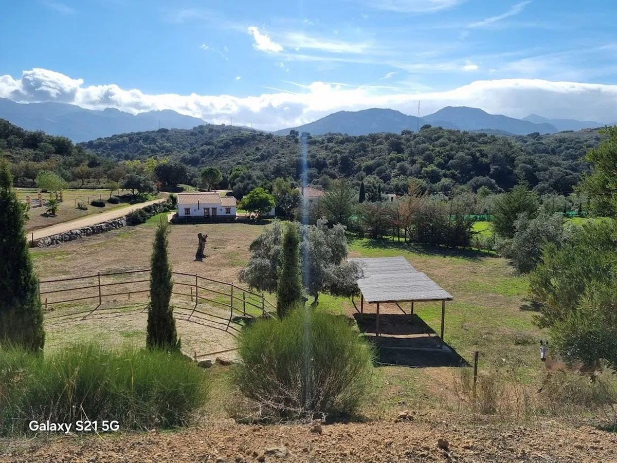 4342cf00-500c-478a-b907-1fccc4269df5