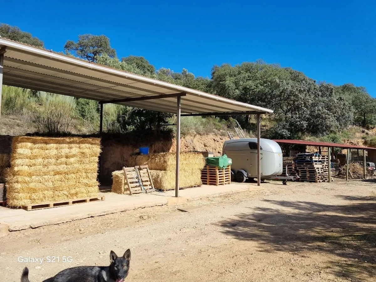 4bd6680a-1e23-46f1-86d8-cf1696baccab