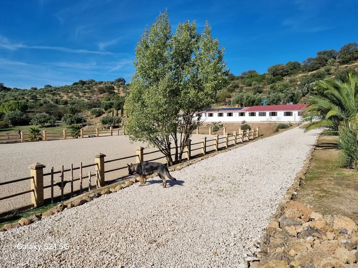 5b6865f4-3caf-4783-934d-17c9006dedba