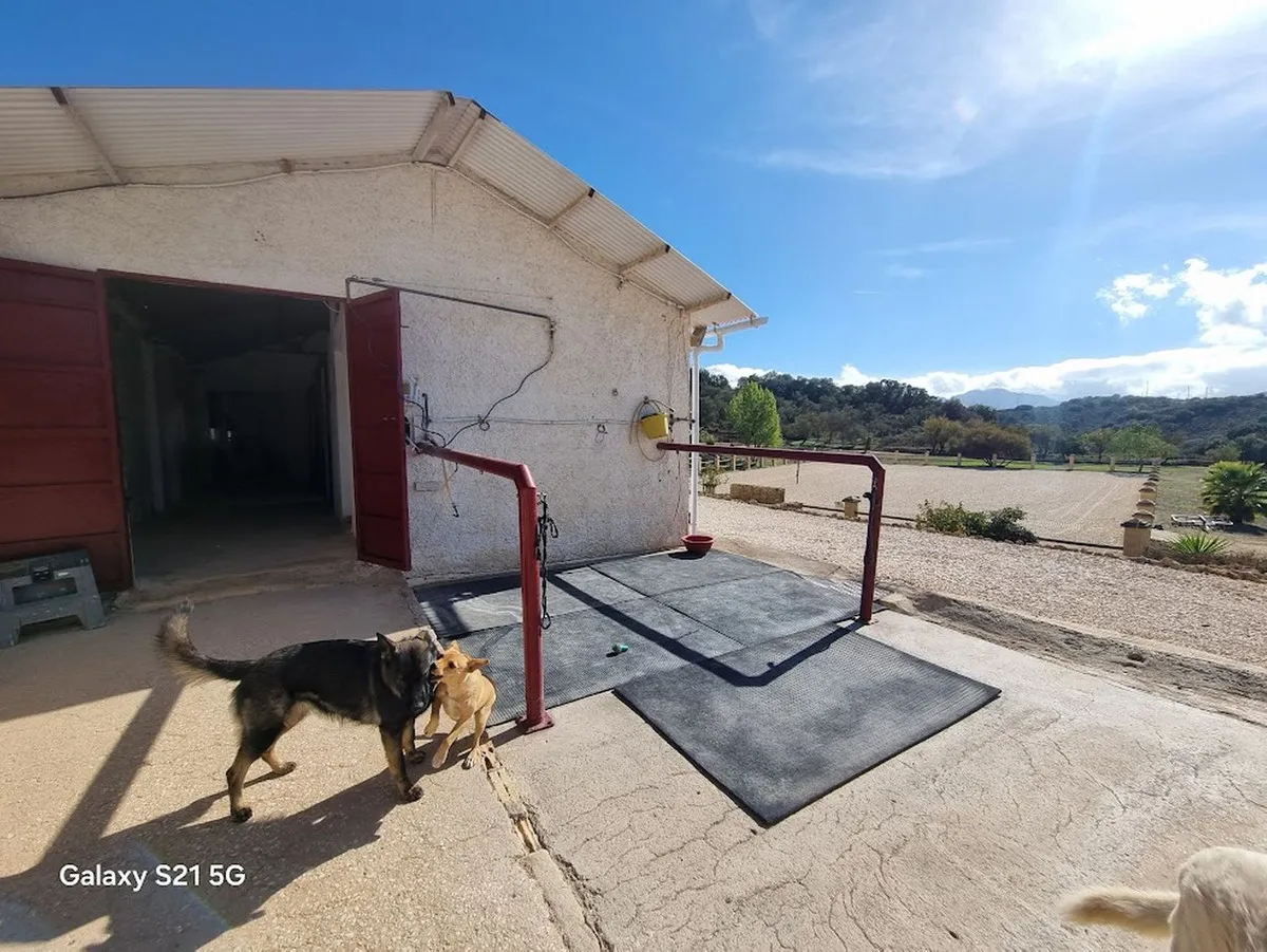 6508a4d8-996b-4493-8346-197ae547922e