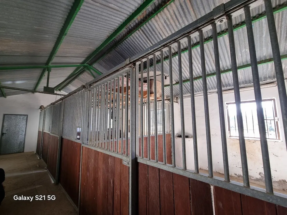 767e7188-f2d6-4afd-94e9-f28b8a4058c6