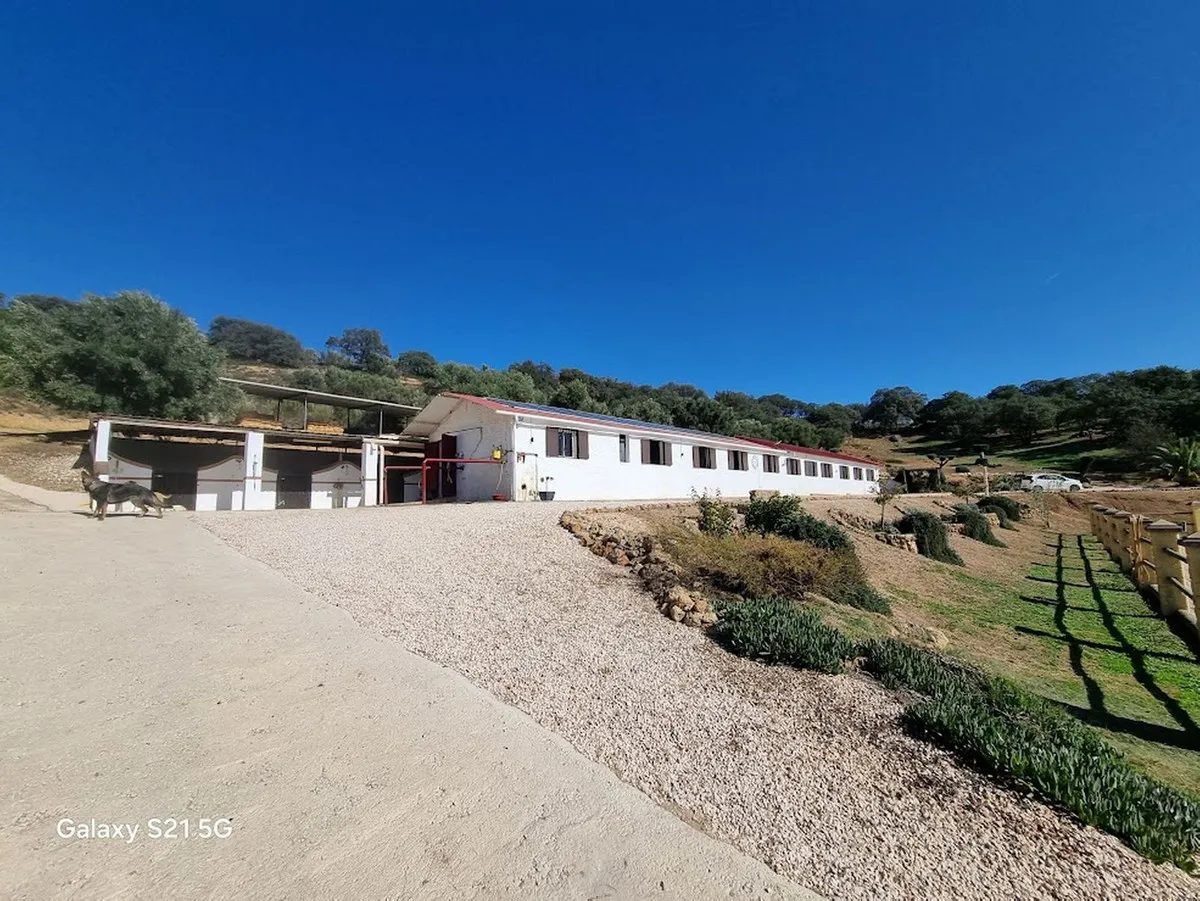 77afc9fb-e362-47eb-9eaa-5f7c11e796e9