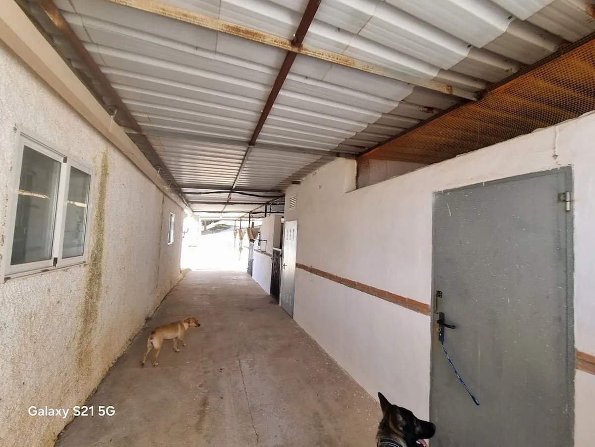 8ac43c83-0545-41ba-97e8-744be5eca4a4