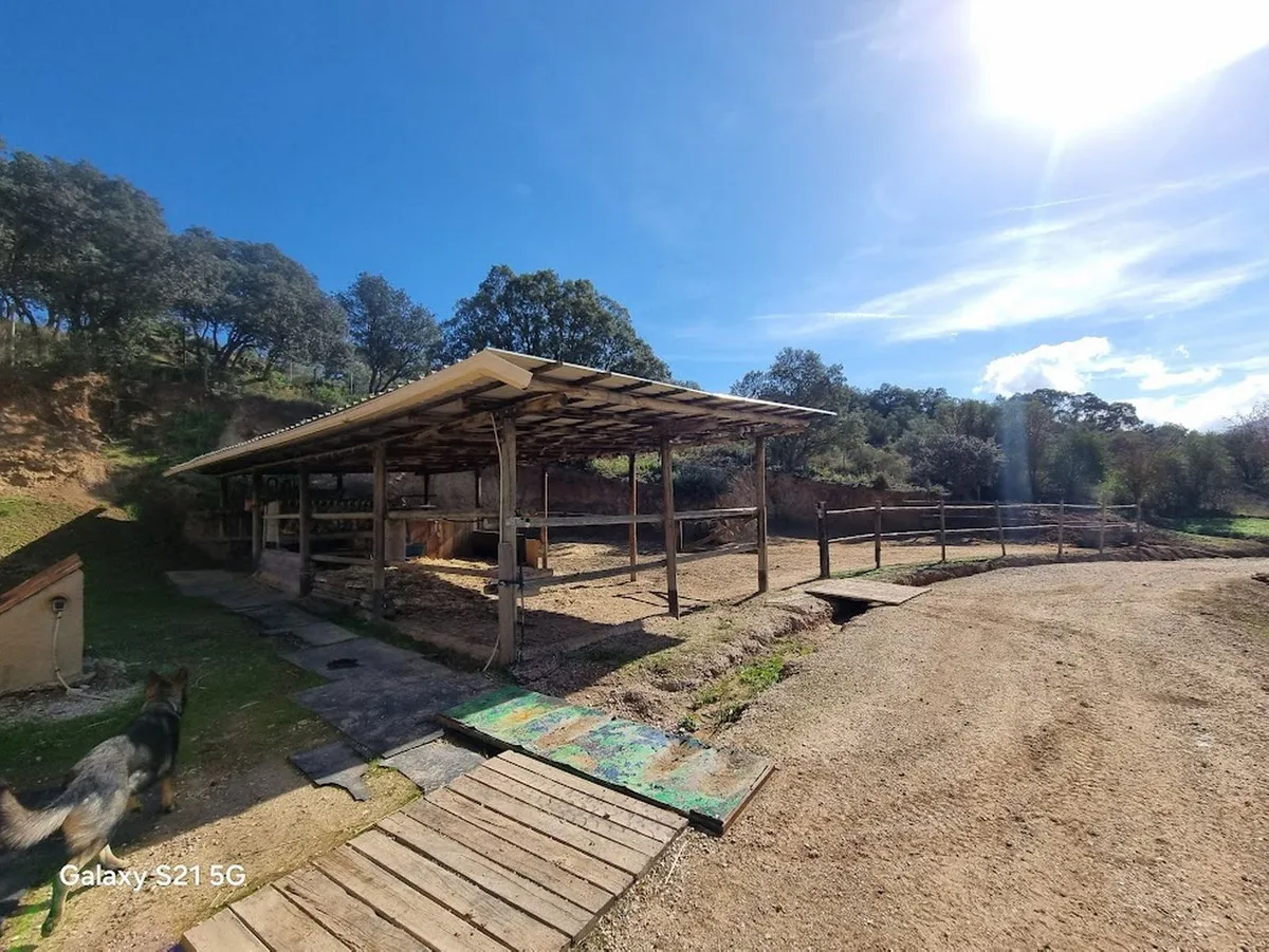 ad4d1deb-6883-4f73-a78e-1234db45e373