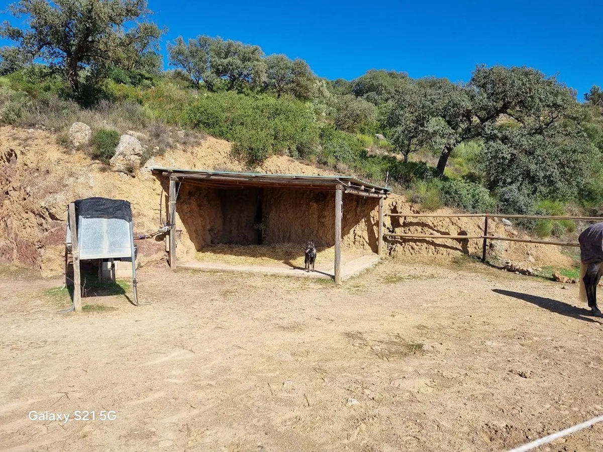 adc44e98-88dc-42a0-bb05-c37b9d3dde1a