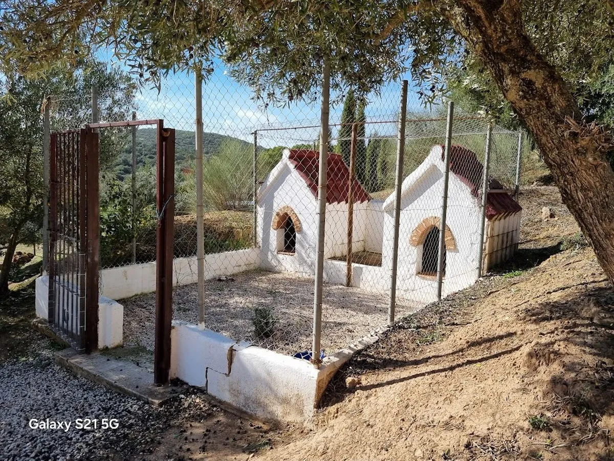 ba704733-d963-45fd-afce-05c8dff00cbd