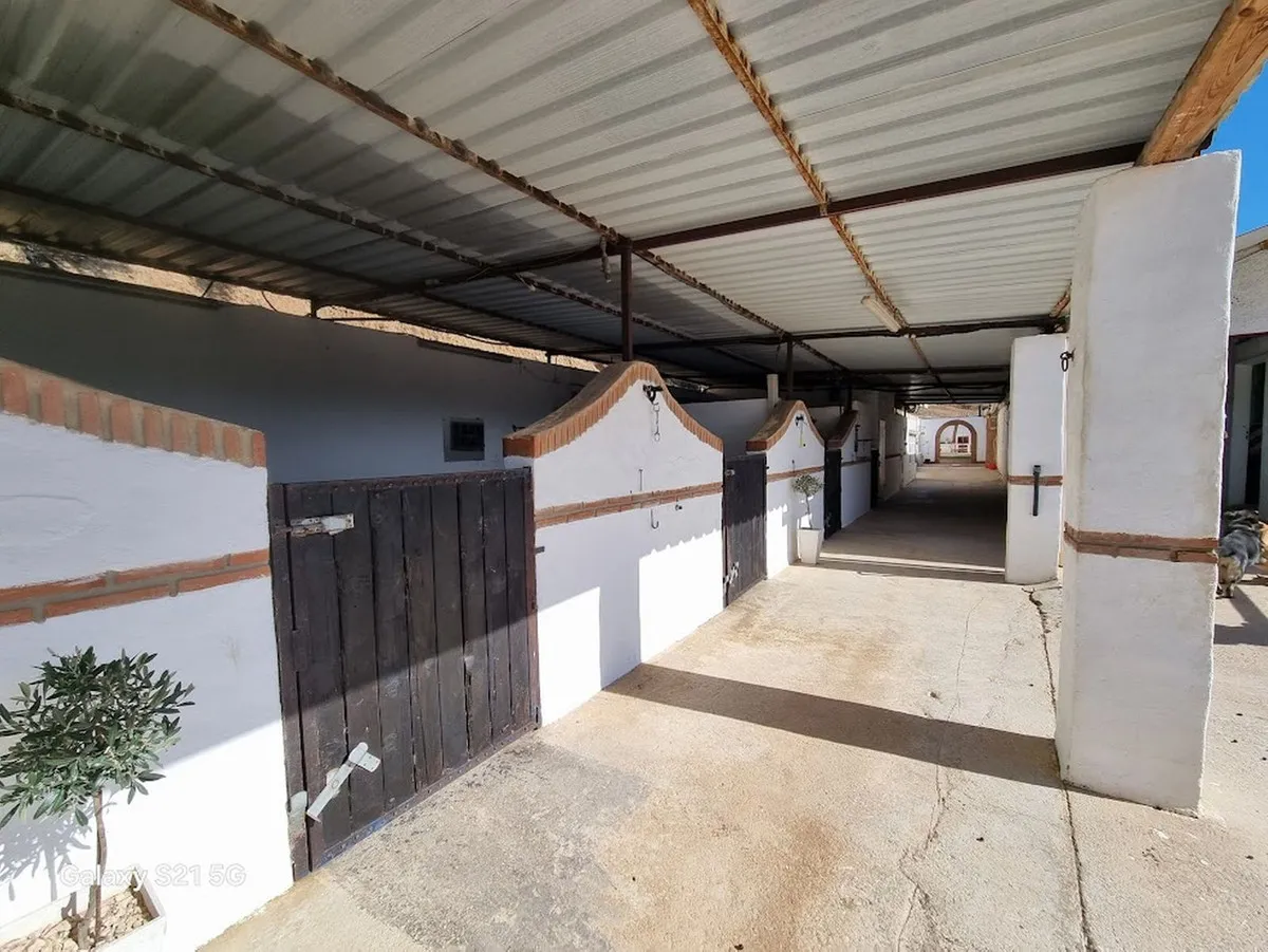 d0ebad7f-926a-4e52-af8e-67b831be0dec