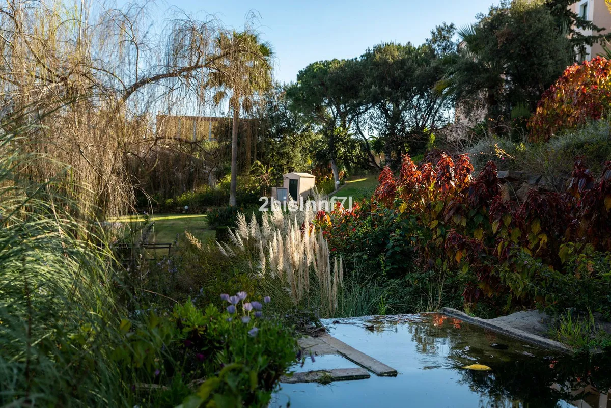 50815833-97f9-4ad5-9c07-e3a9f312cadf