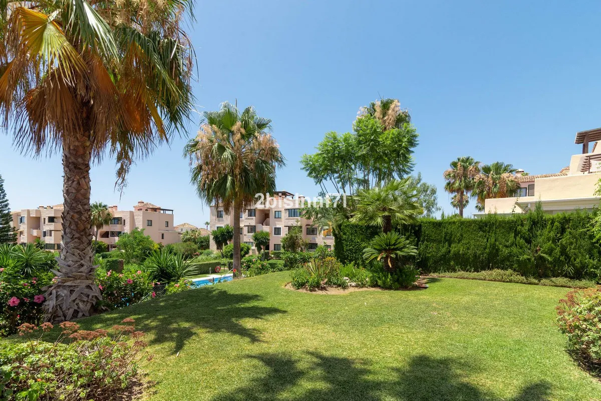 8d64d60a-1604-49b1-a627-9ba9ad792242