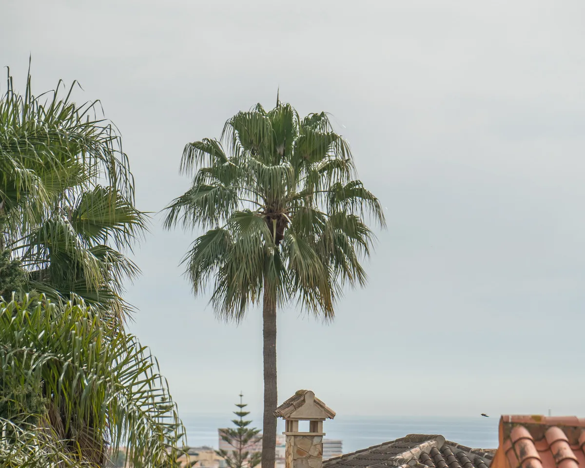 e31c51c0-b68d-4537-9d83-7036feb74eb4