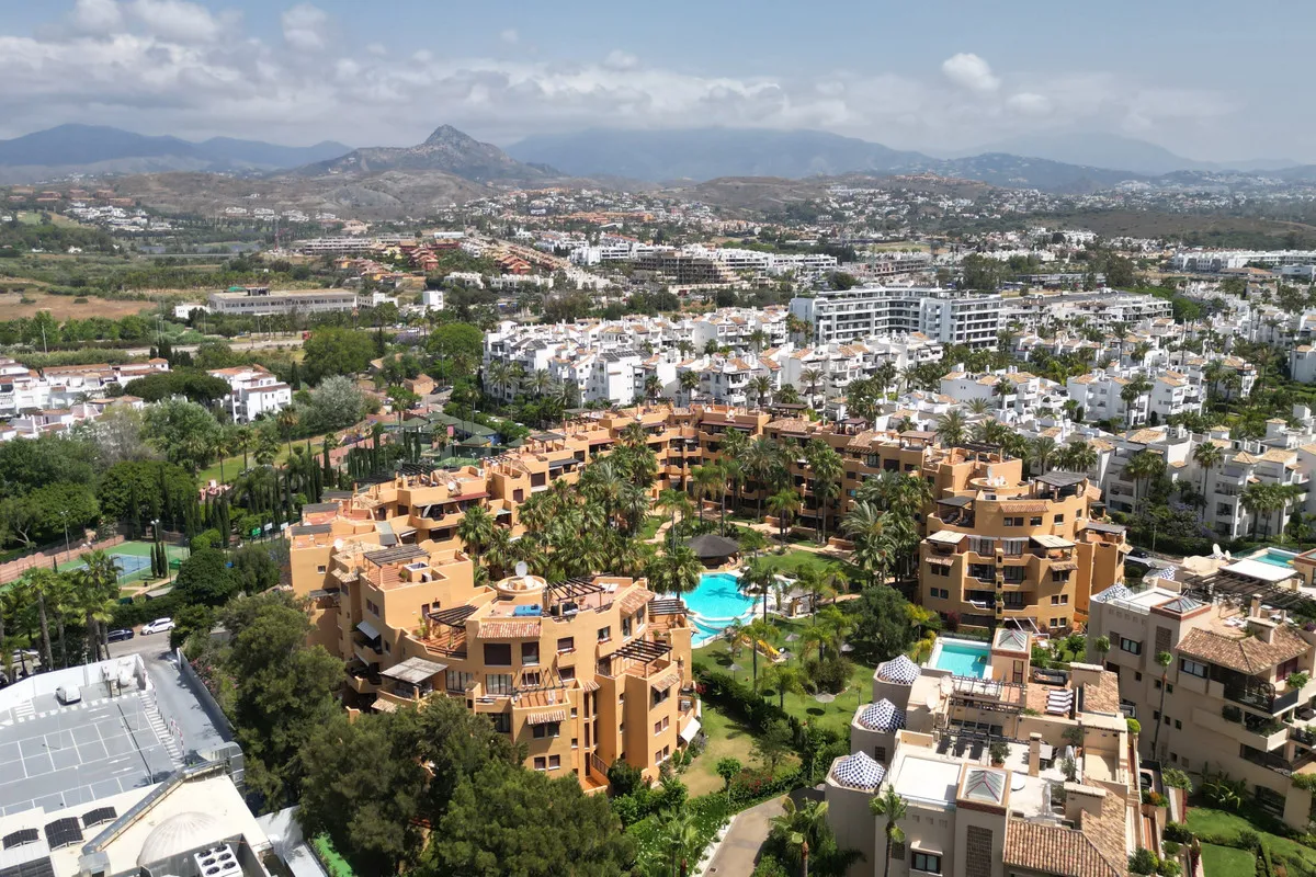 47915398-1f74-4846-9698-3bf8ab447d74