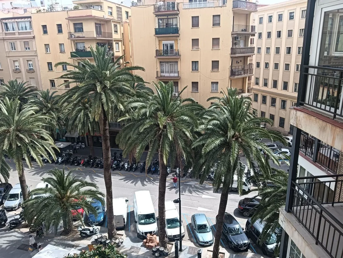 433138a9-4807-47ff-a82d-0201b76152e8