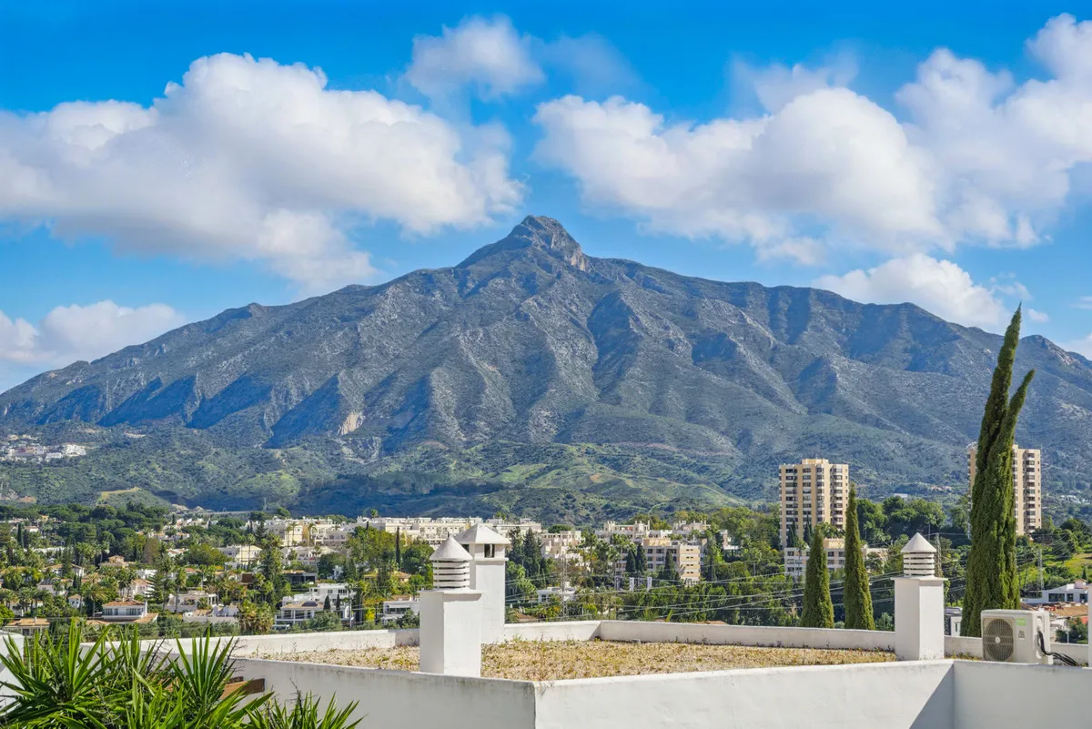 d872320e-8d88-46aa-a533-893318123d60