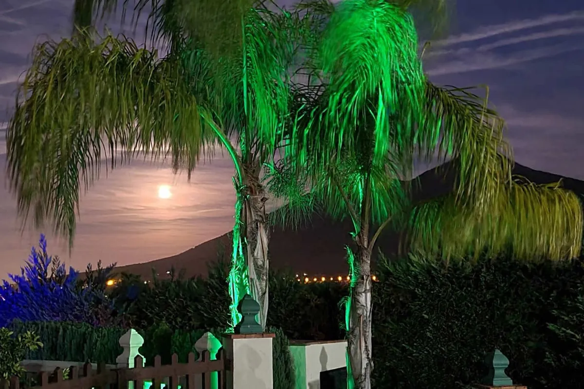 f8a15451-5981-4d3e-98c5-80370dfe3ac6