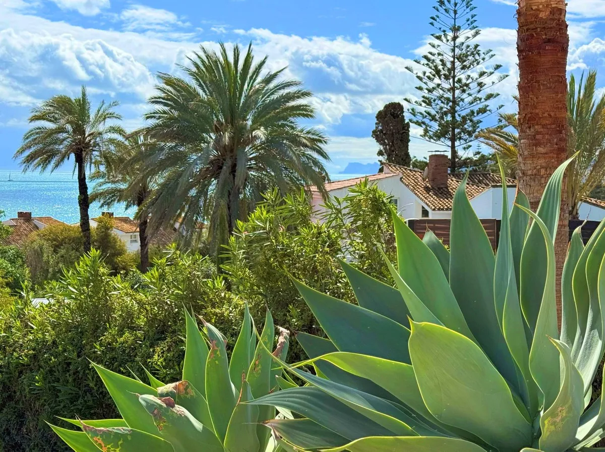 a9172ece-54a6-459d-b76a-8a738806b6a1