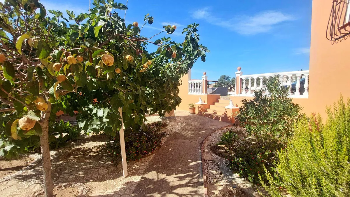 cd8c9106-2072-4703-ab4d-7abcf8aaec13