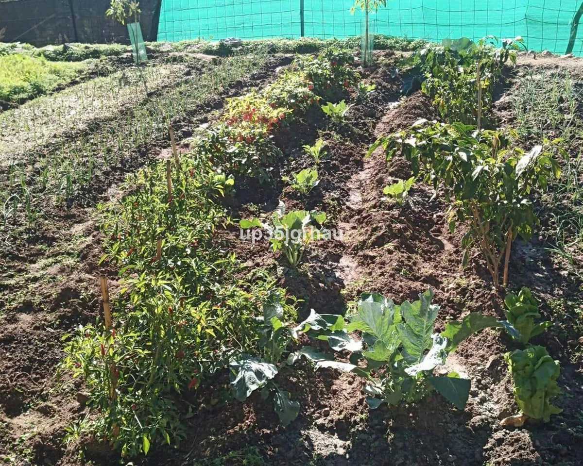 48dde6a6-c261-4801-9d66-776962bb90a3