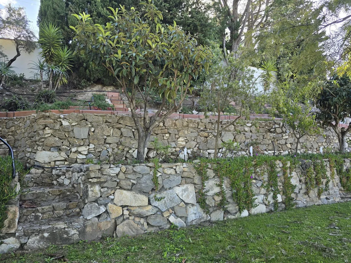 f32edc5e-63e3-4022-b394-c6af9e1caa21