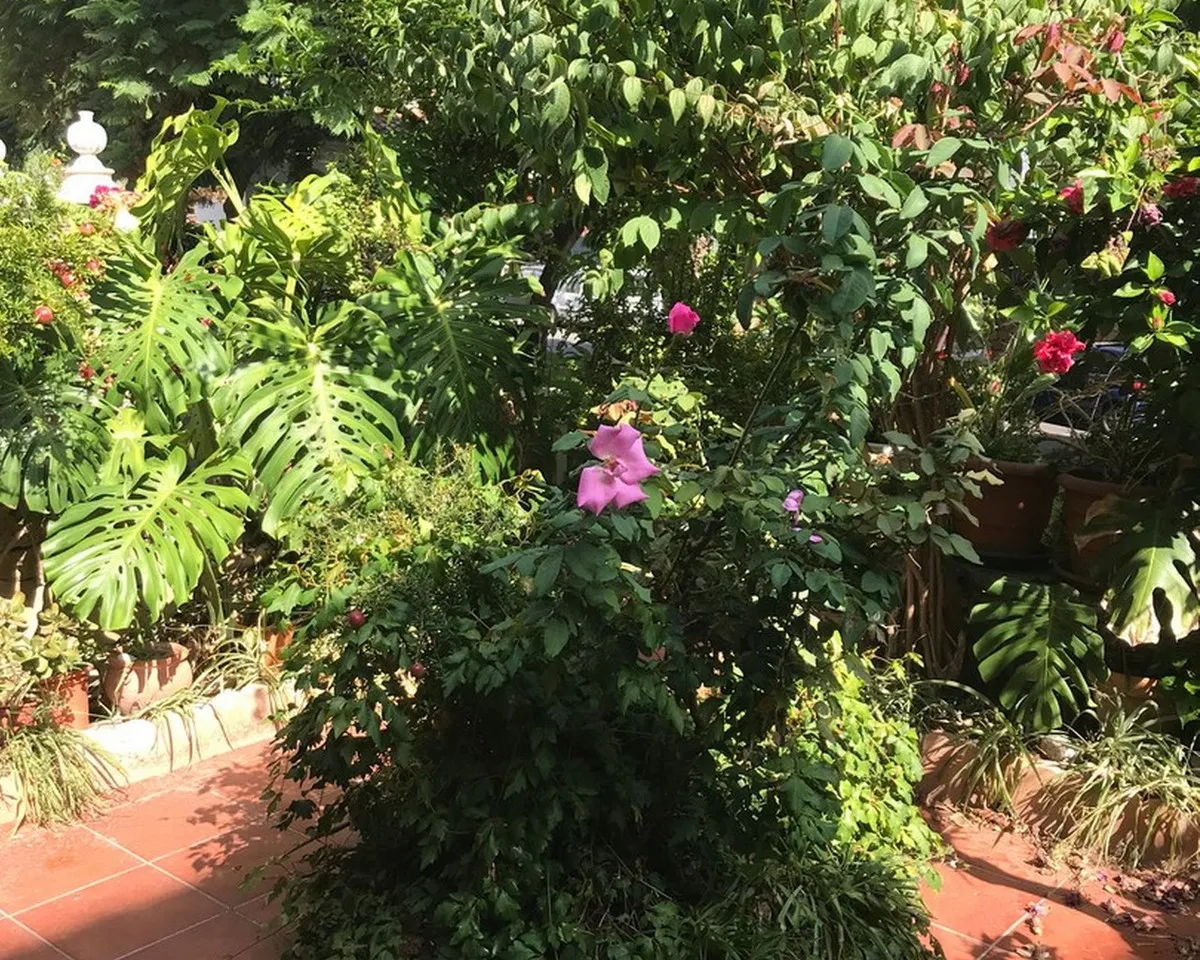 3f9afba3-7463-41fb-8dbe-050249f8e7f0