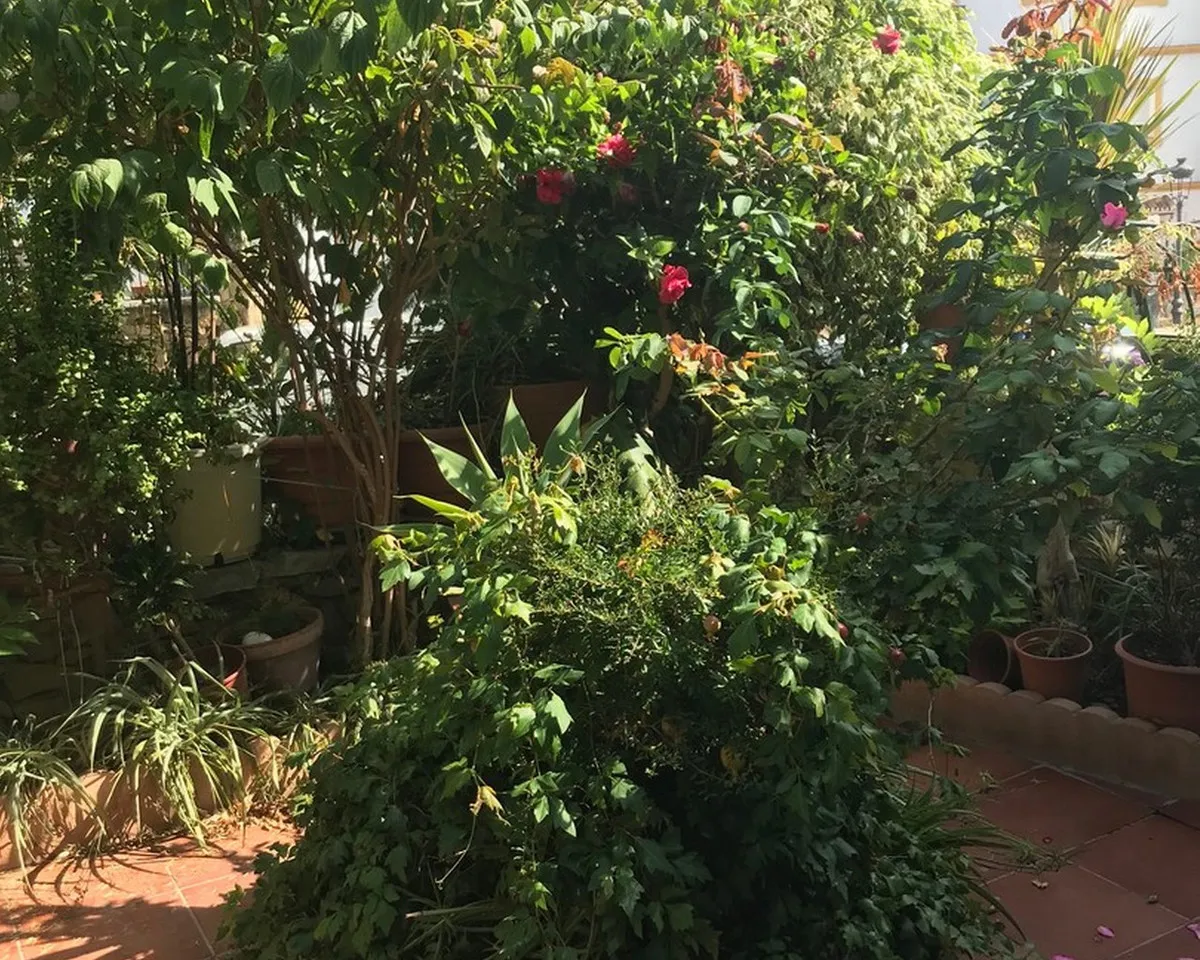 c47a0fd1-fb80-4d91-9ee9-9c3907b7c1b4