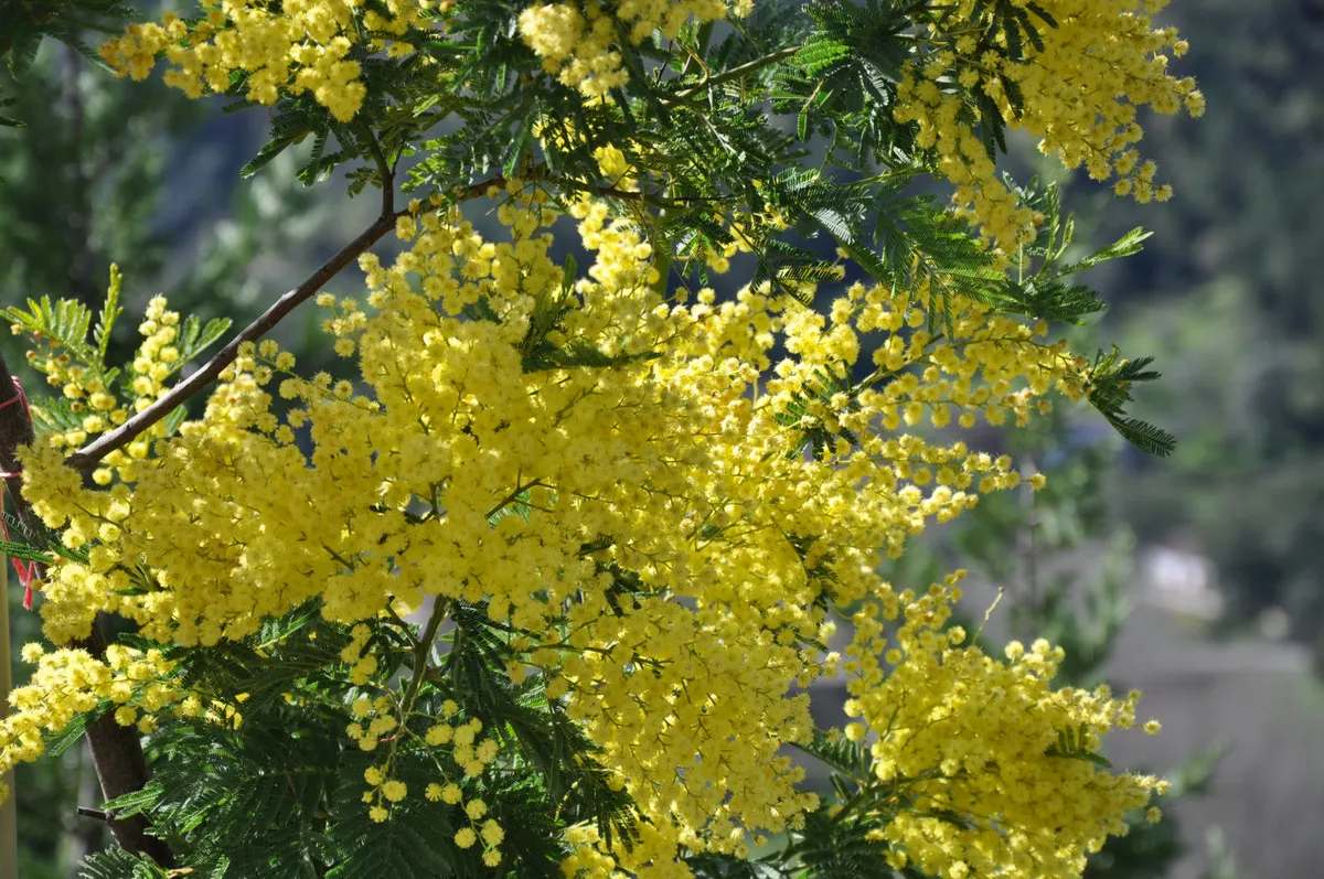 222d1ce5-6a3c-4efc-ac16-0c11c3b25c32