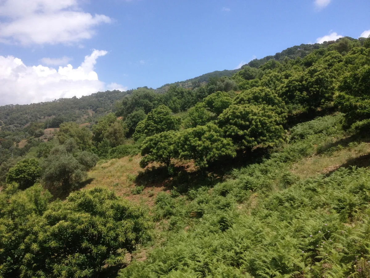 5e7a72bf-e71a-4f96-a462-195ad13d5bc6