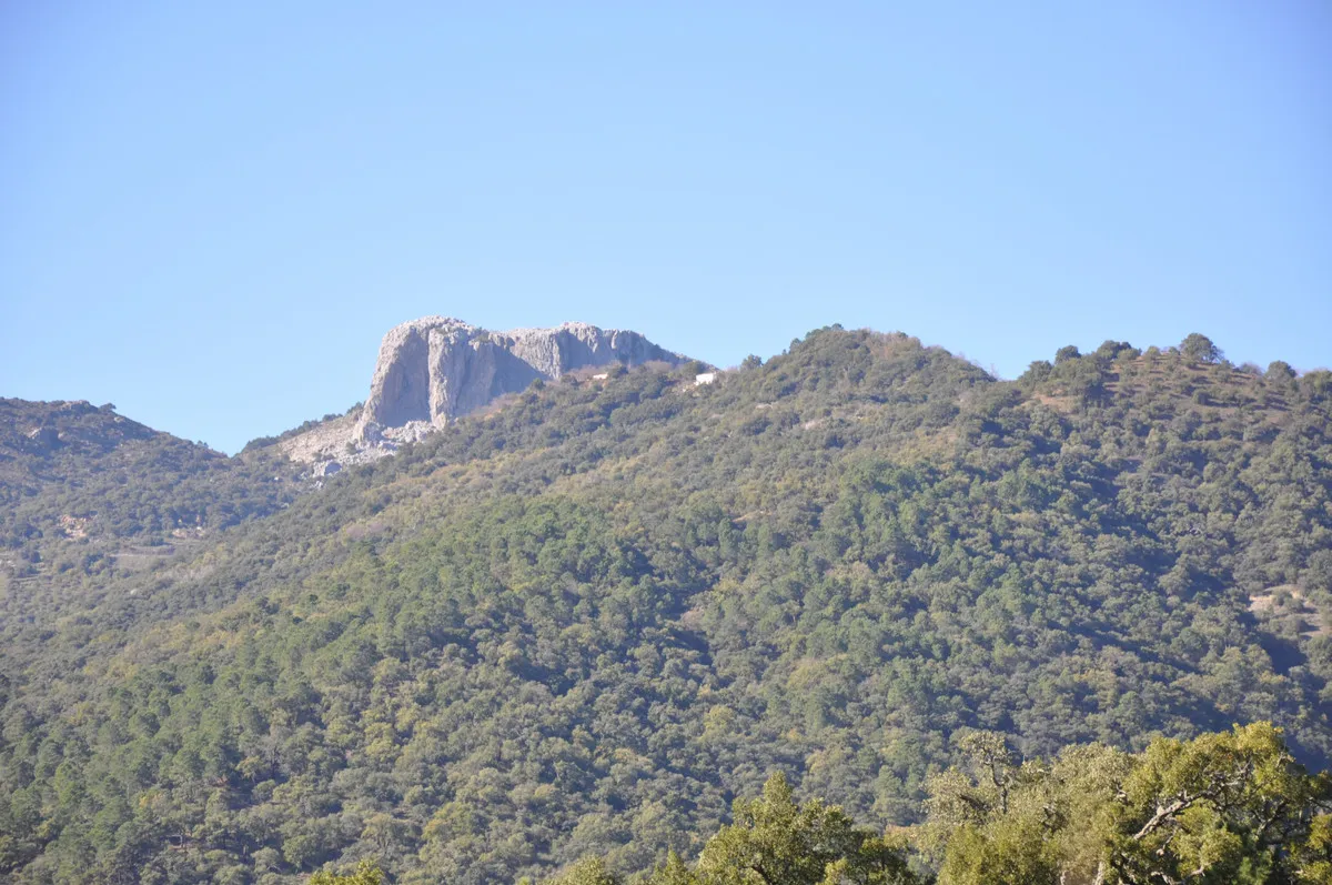 6f92b31d-9bfb-4472-b5b4-26e91fea867d