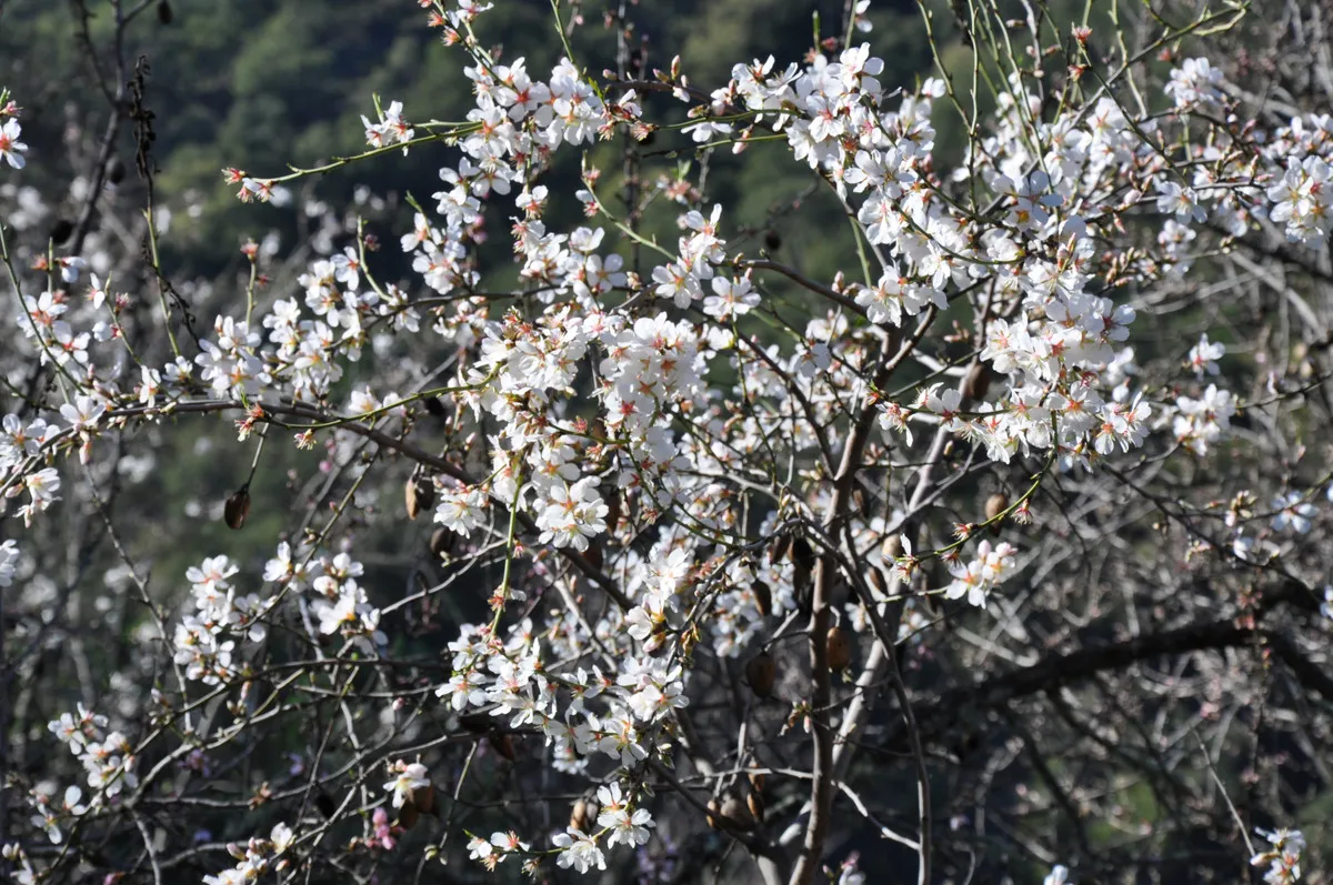 c9216222-6928-4886-9e35-a713d2b37f3f