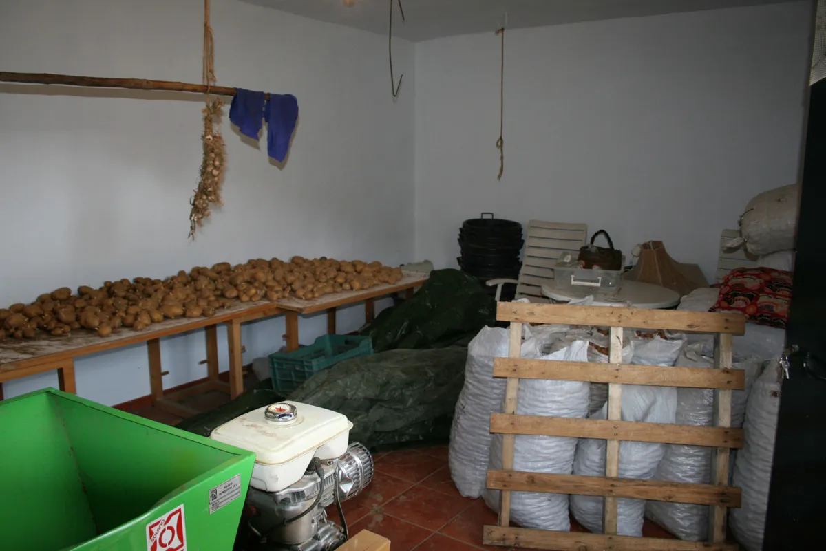 e17b35d4-1f23-4dc9-b704-380b0be99fbe