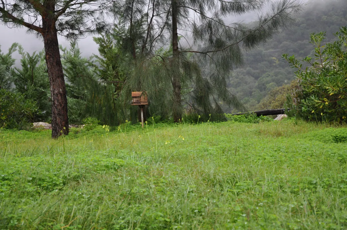 fd5eb1e4-8838-425d-99cc-615369fdcdcf