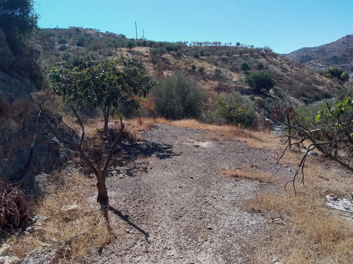 00592b31-4bb1-4171-bd70-b7c175bf0516