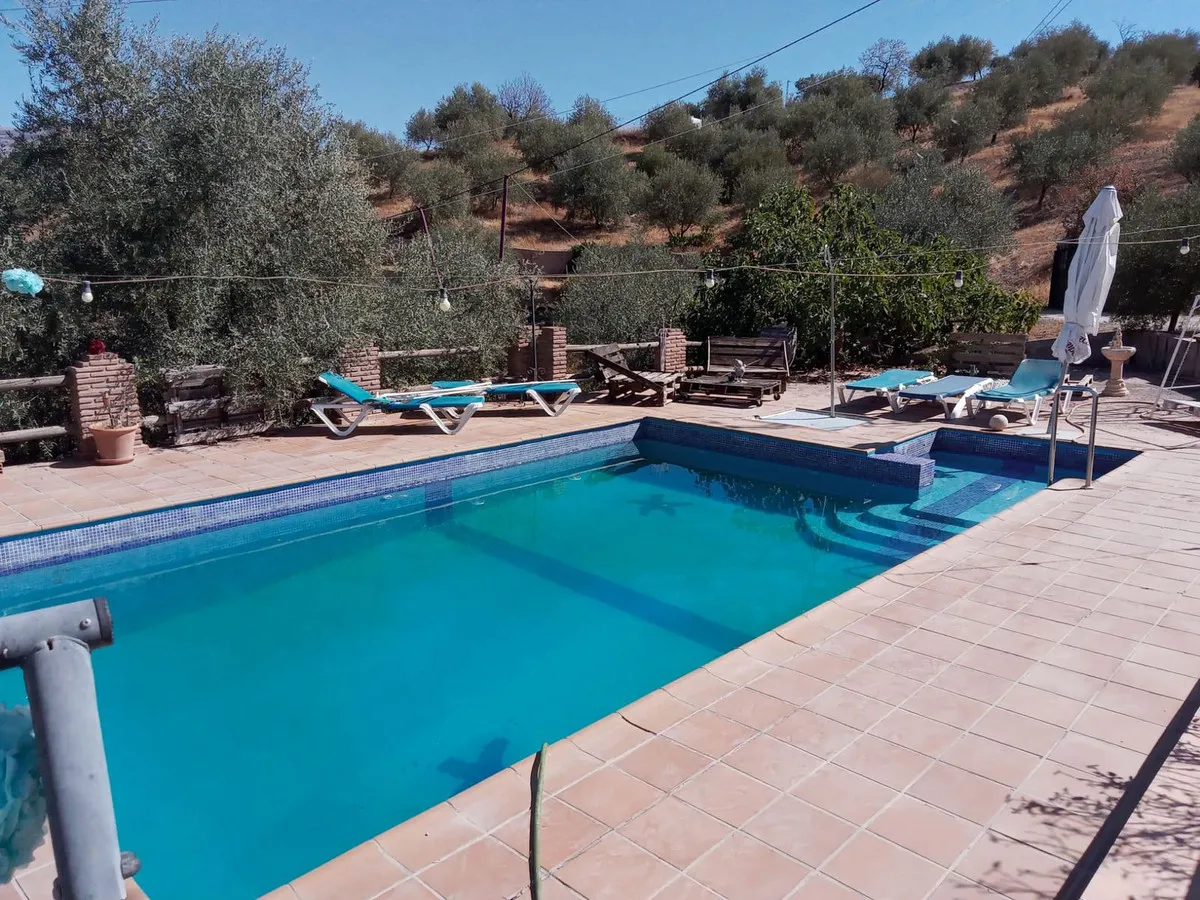 55258e0d-c622-4a64-8720-1bdb1e87fa93