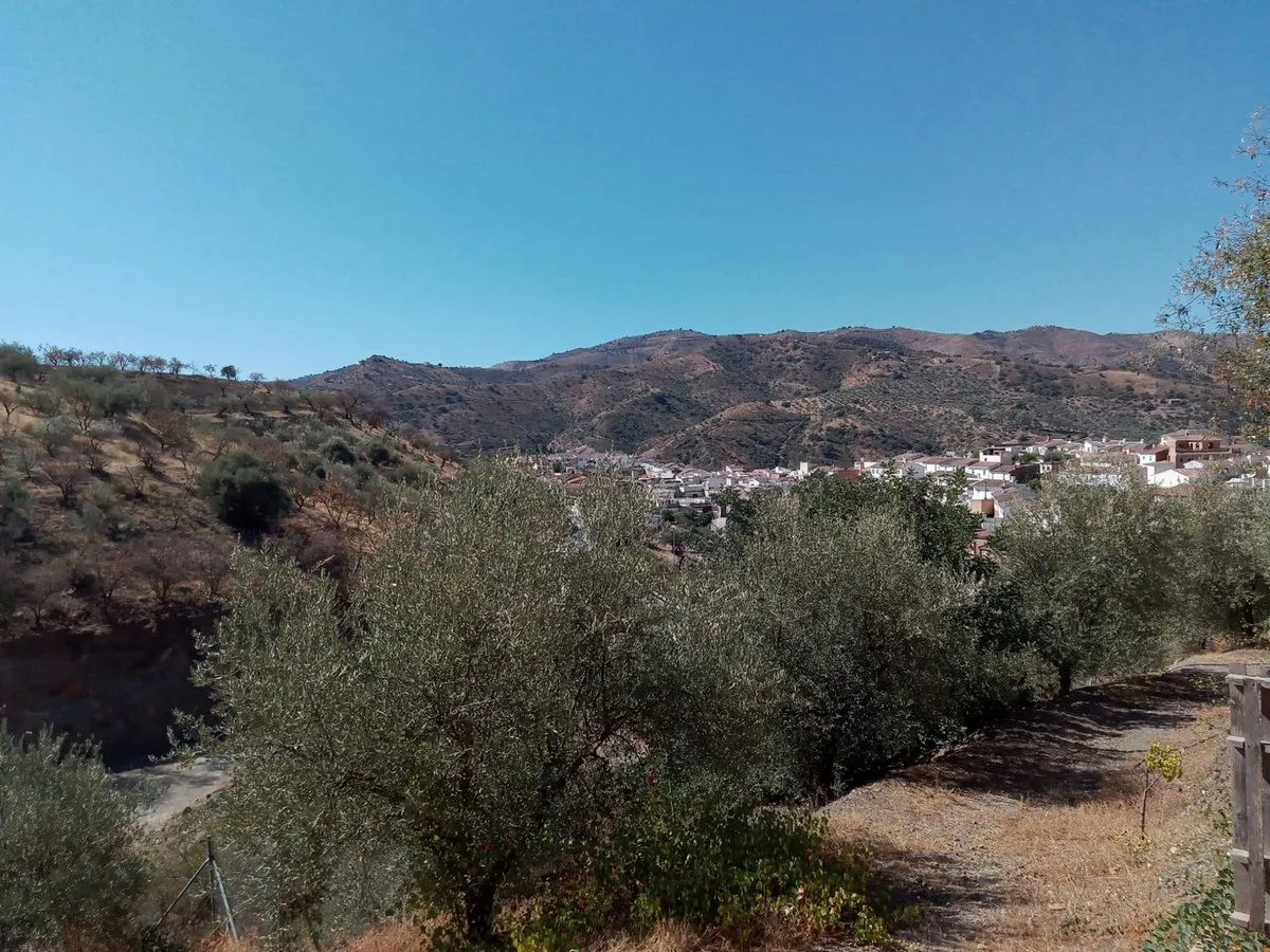 8049806f-d3fc-4205-8179-368968f0f6c0