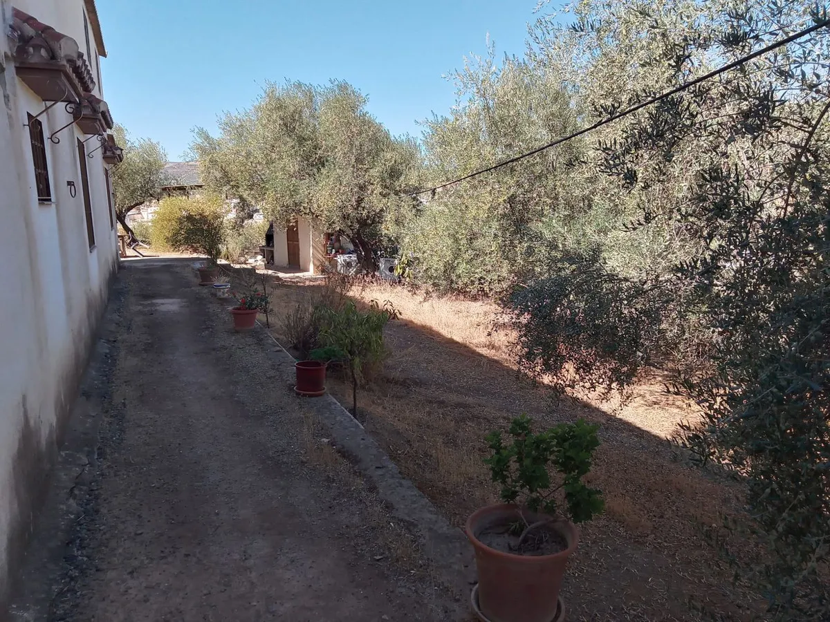 f00f70a8-b74a-4628-b9de-1d5de0c02e72