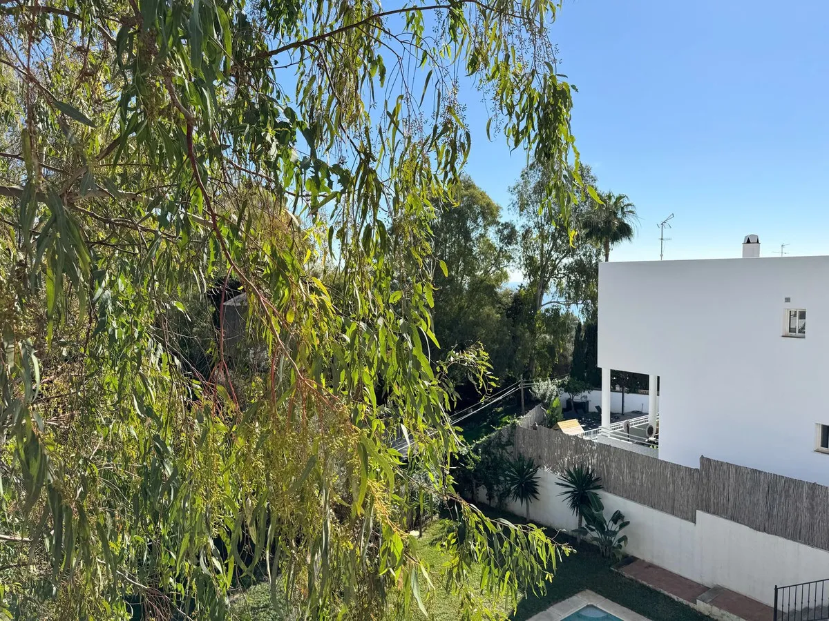 24a7aa51-f361-4096-9e4c-49bb0edae880