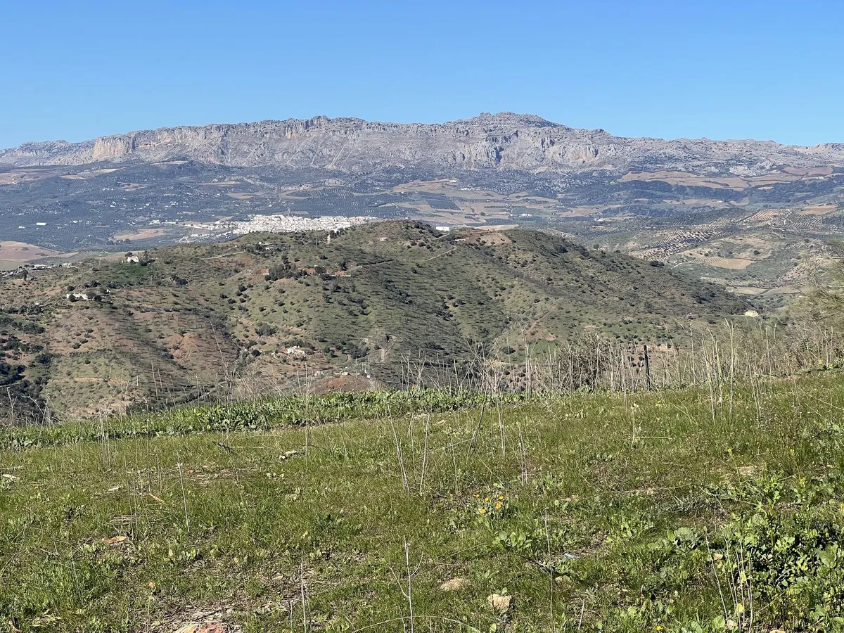 11e5663c-a013-4402-b07f-13016240f20e