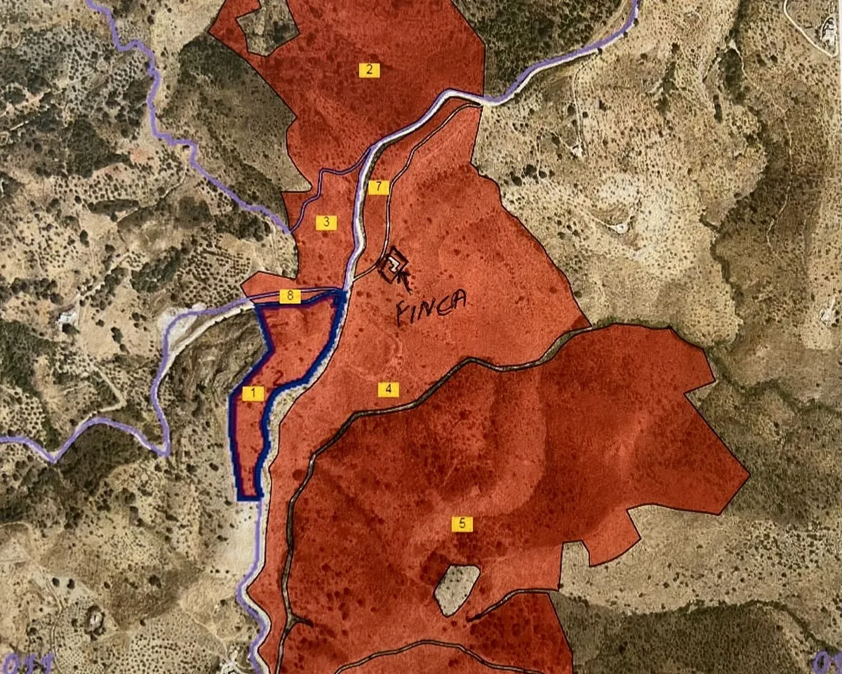 baa9fe98-606f-4f4d-a700-ac33d5a28676