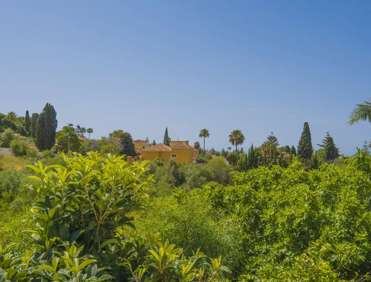 e2d3ab7b-d861-45b7-94f5-ddfa6abd48f2