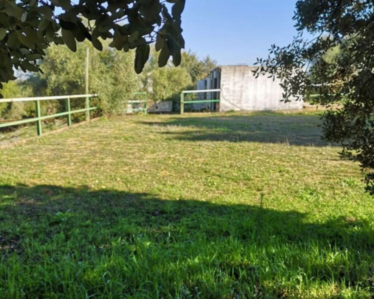 057f84b8-fd3f-49c3-9956-427537554c35