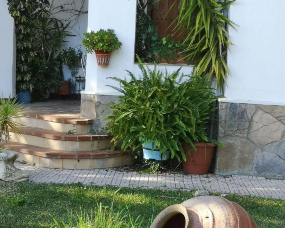 8d92925f-9aa2-484f-a4b5-a94613fab743