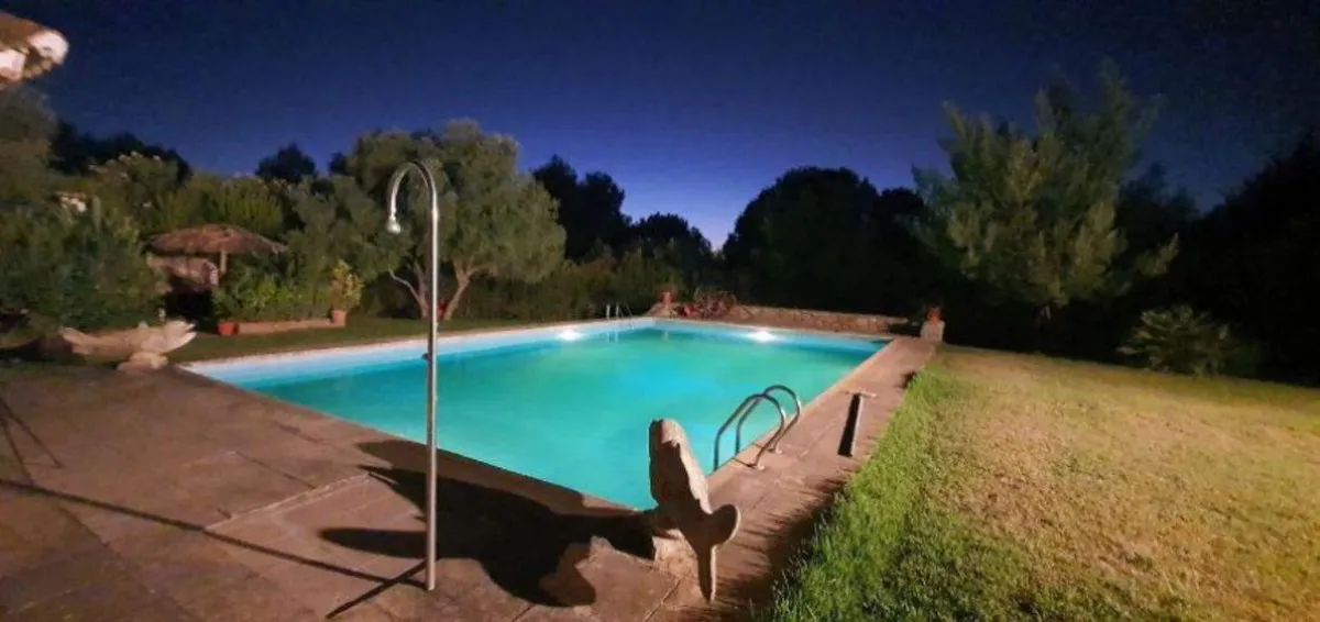 d0e37b37-e486-4256-9c69-67962565e225